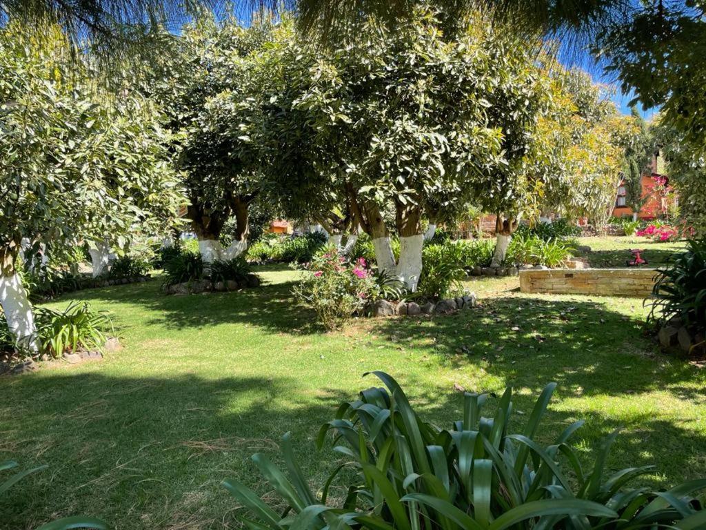 Villa La Huerta Mazamitla Exterior foto