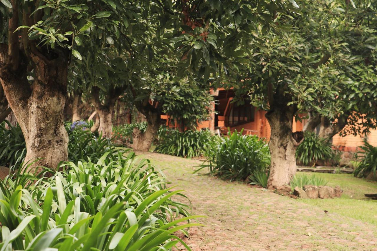 Villa La Huerta Mazamitla Exterior foto