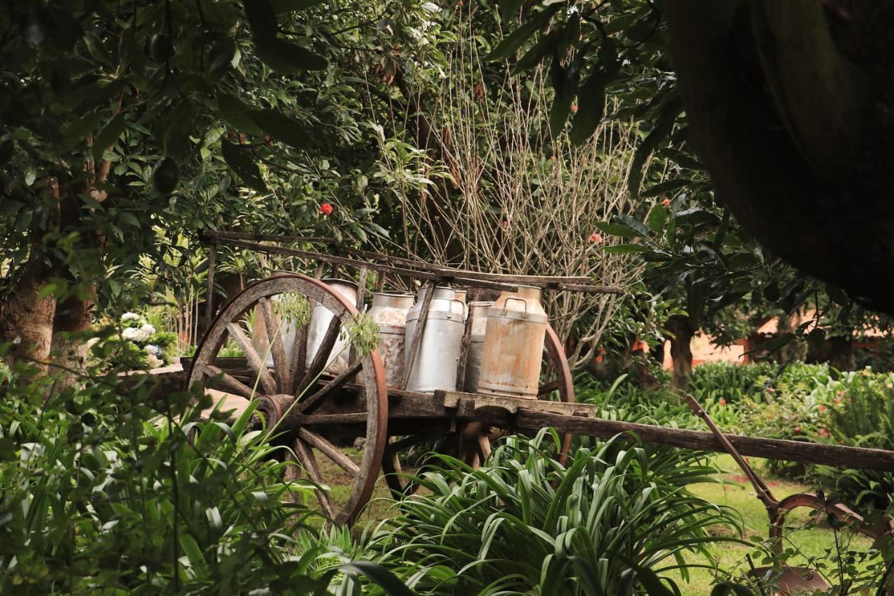 Villa La Huerta Mazamitla Exterior foto